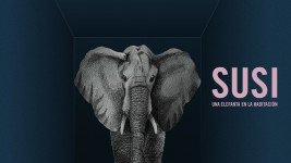 Ana Luz Sanz y Natalia Oriol