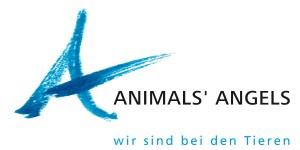 Animals' Angels e.V.