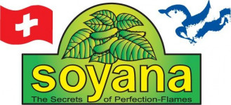 Soyana, Walter Dänzer