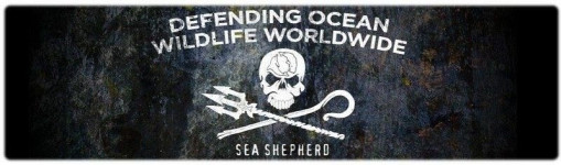 Sea Shepherd NL