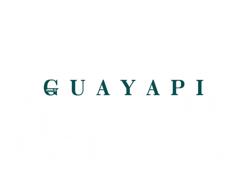 GUAYAPI