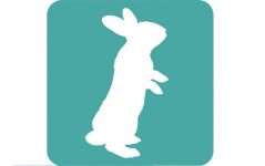 Association White Rabbit