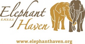 Association 1901 Elephant Haven