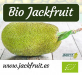 Kombucheria Lirona S.L.