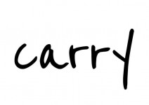 Carry Products GmbH