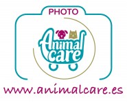 Animal Care Photo
