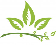 United Export  LLC