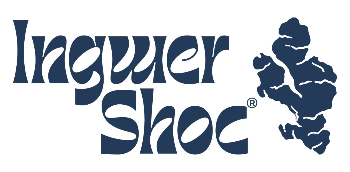 Ingwer Shoc